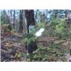 Image 1 : 43024 MI Lake County