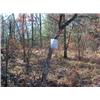Image 1 : 43025 MI Lake County