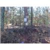 Image 1 : 43026 MI Lake County