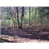 Image 2 : 43029 MI Lake County