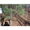Image 2 : 43031 MI Lake County