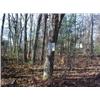 Image 1 : 43032 MI Lake County