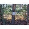 Image 1 : 43033 MI Lake County