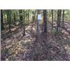 Image 1 : 43034 MI Lake County