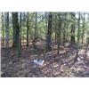 Image 2 : 43034 MI Lake County