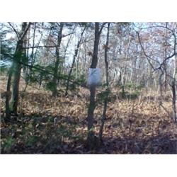 43035 MI Lake County