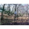 Image 1 : 43035 MI Lake County