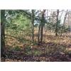Image 2 : 43035 MI Lake County