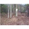 Image 1 : 43036 MI Lake County