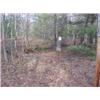 Image 2 : 43037 MI Lake County
