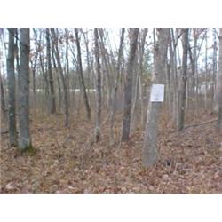 43038 MI Lake County