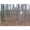 Image 1 : 43038 MI Lake County