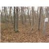 Image 2 : 43038 MI Lake County