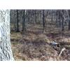 Image 2 : 43039 MI Lake County