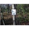 Image 1 : 43040 MI Lake County