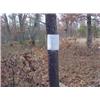 Image 1 : 43042 MI Lake County