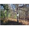 Image 1 : 43043 MI Lake County