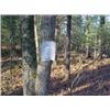 Image 1 : 43044 MI Lake County