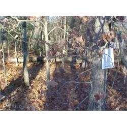 43045 MI Lake County