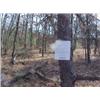 Image 1 : 43046 MI Lake County
