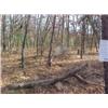 Image 2 : 43046 MI Lake County