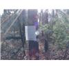 Image 1 : 43047 MI Lake County