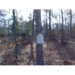 43048 MI Lake County