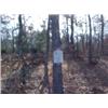 Image 1 : 43048 MI Lake County