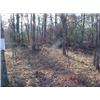Image 2 : 43048 MI Lake County