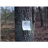 Image 1 : 43049 MI Lake County