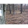 Image 2 : 43049 MI Lake County