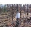 Image 1 : 43050 MI Lake County