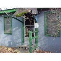 43051 MI Lake County 03702 S PRINCETON-WAY AV