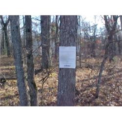 43052 MI Lake County