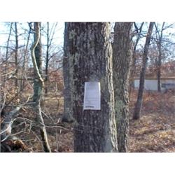 43053 MI Lake County