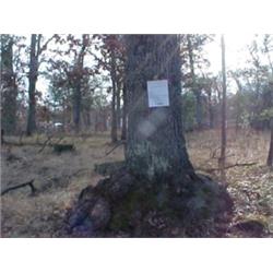 43054 MI Lake County