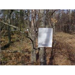 43055 MI Lake County