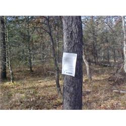 43056 MI Lake County