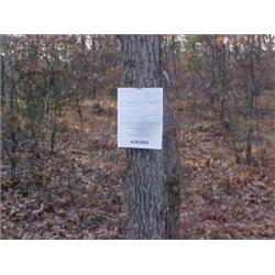 43057 MI Lake County