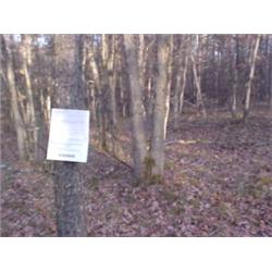 43058 MI Lake County