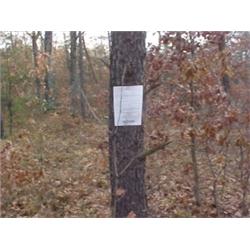 43059 MI Lake County