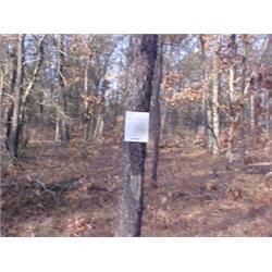 43060 MI Lake County