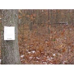 43061 MI Lake County