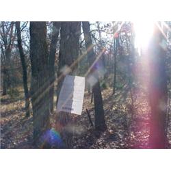 43062 MI Lake County