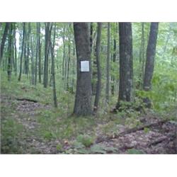 43063 MI Lake County