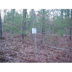 43065 MI Lake County