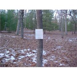 43067 MI Lake County