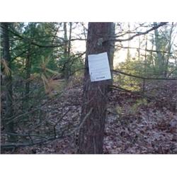 43069 MI Lake County