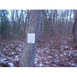 43070 MI Lake County