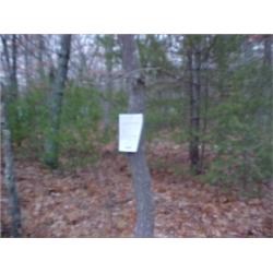 43072 MI Lake County